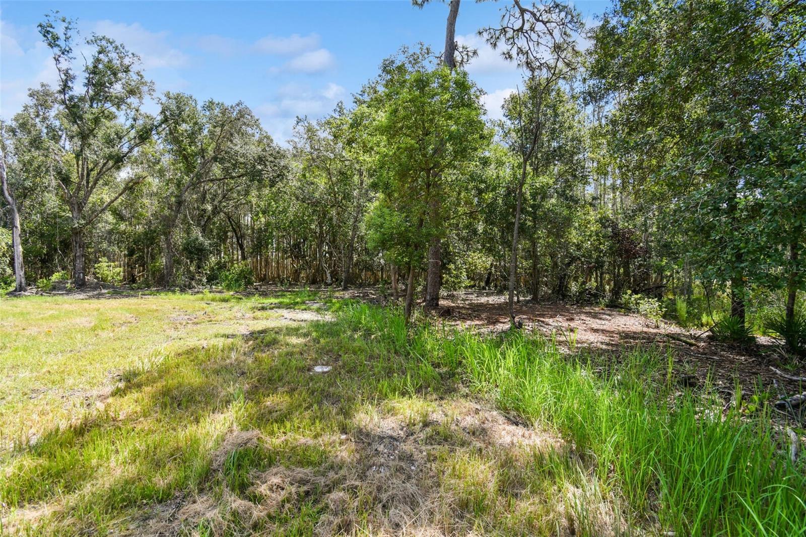 1758 Land O Lakes Blvd Property Photo 7