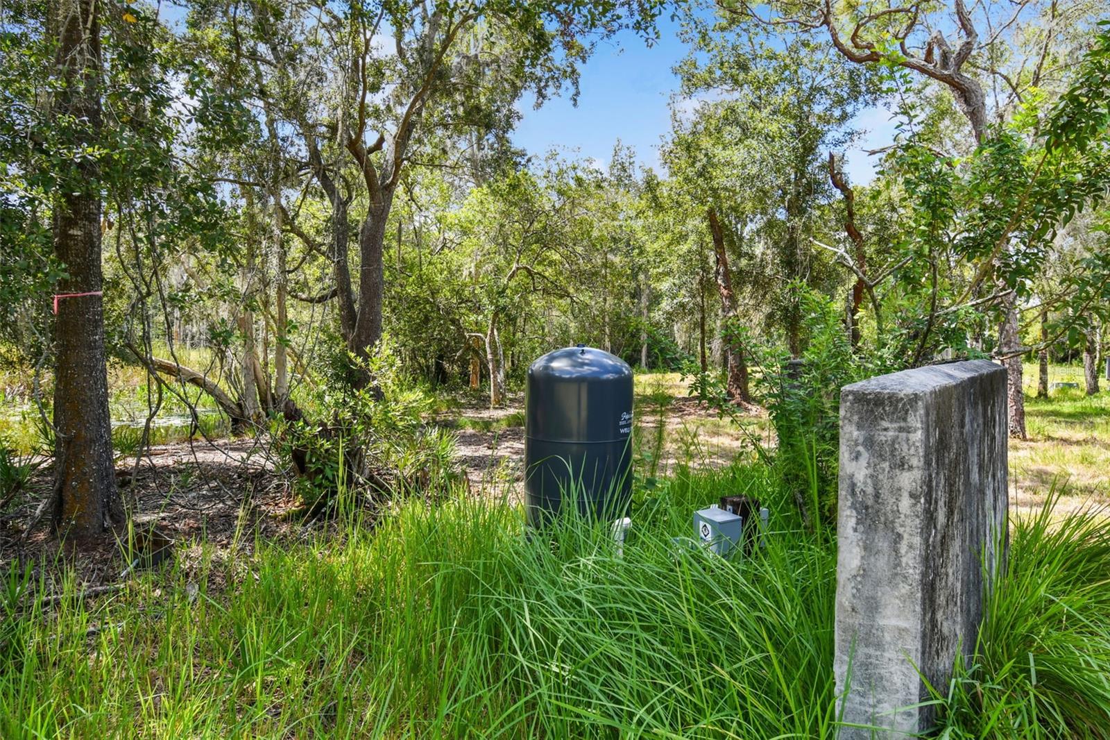 1758 Land O Lakes Blvd Property Photo 12