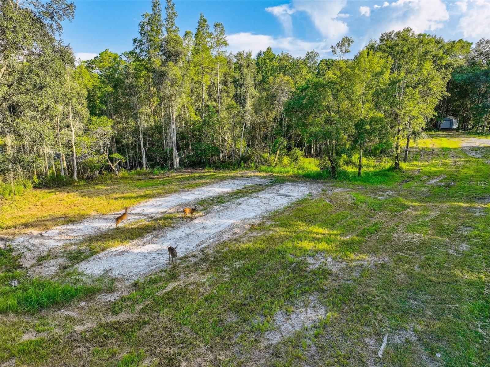 1758 Land O Lakes Blvd Property Photo 16