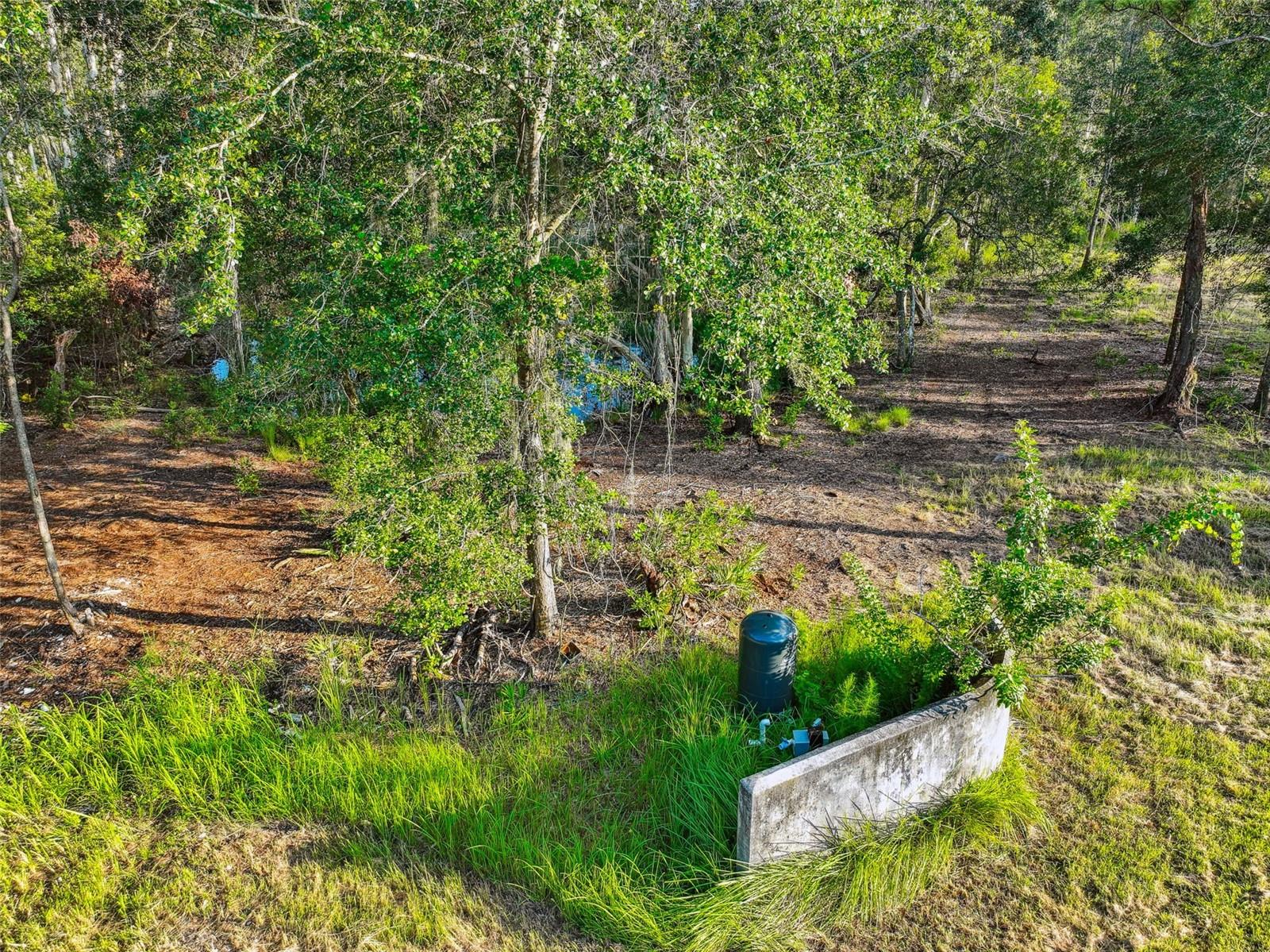 1758 Land O Lakes Blvd Property Photo 17