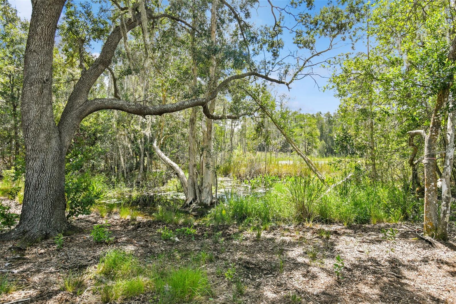 1758 Land O Lakes Blvd Property Photo 19