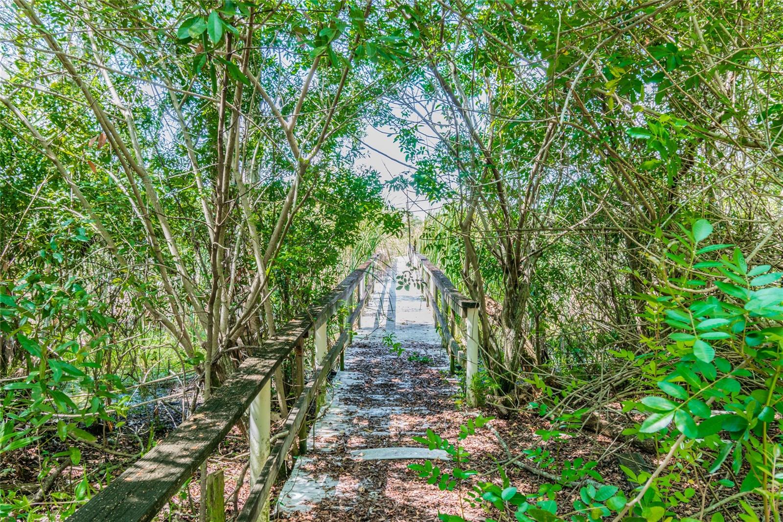 1758 Land O Lakes Blvd Property Photo 20
