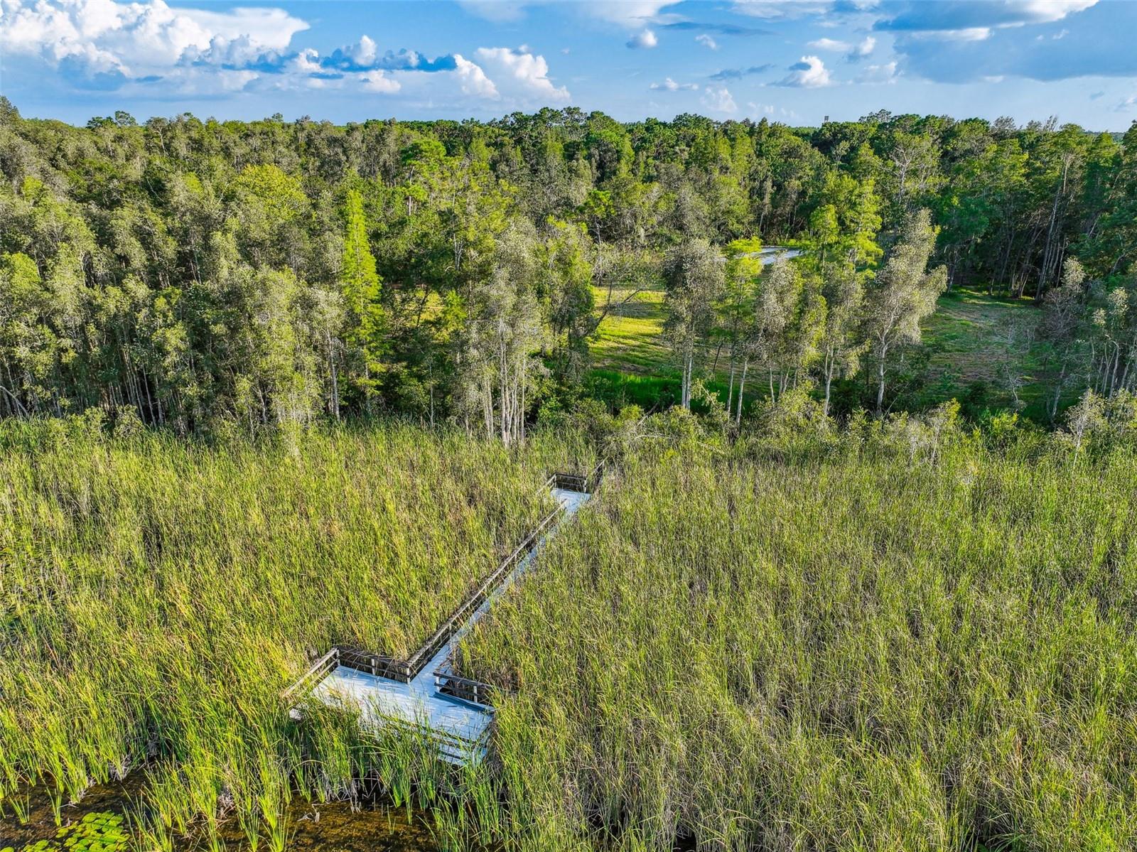 1758 Land O Lakes Blvd Property Photo 21