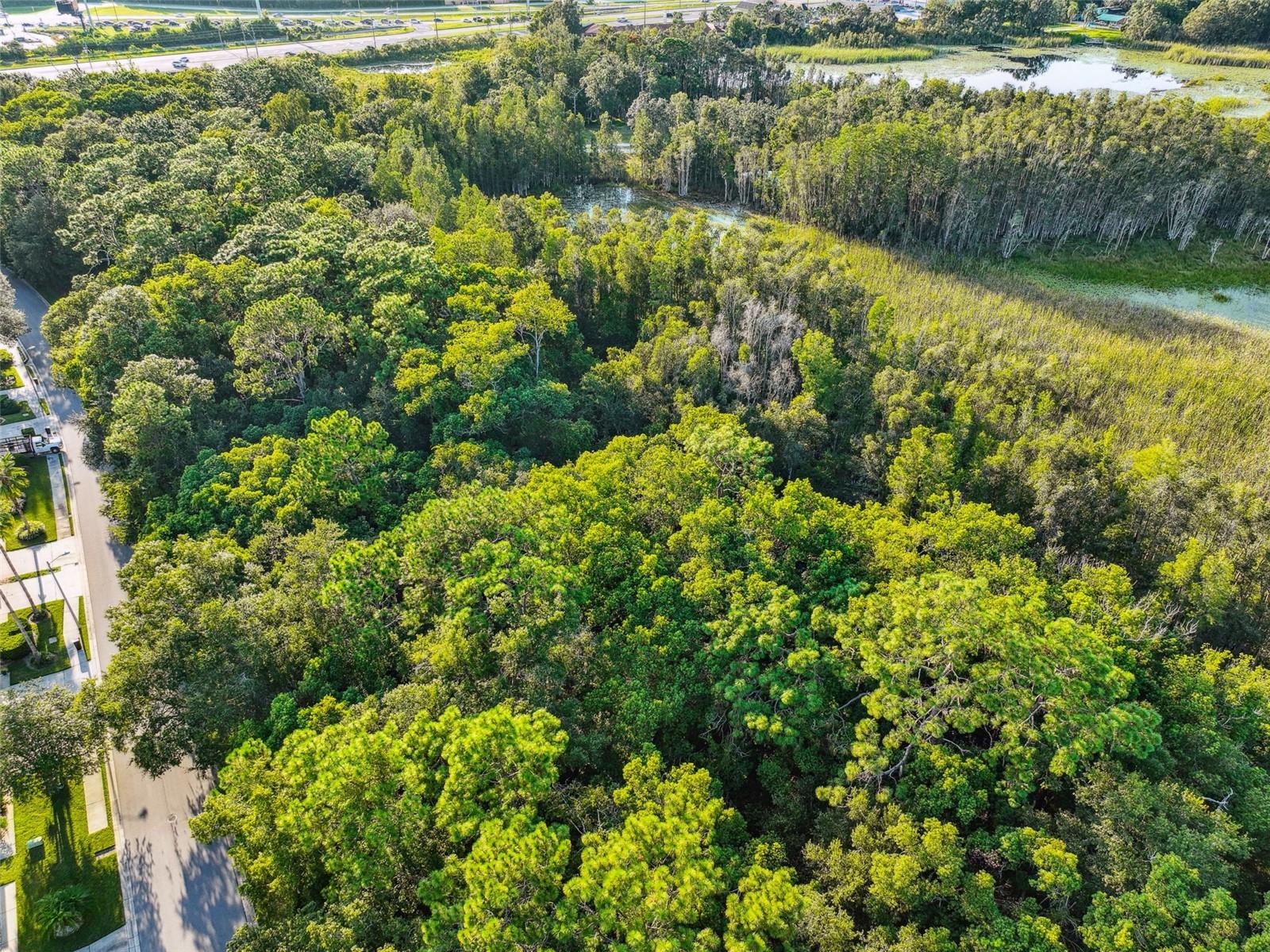 1758 Land O Lakes Blvd Property Photo 22