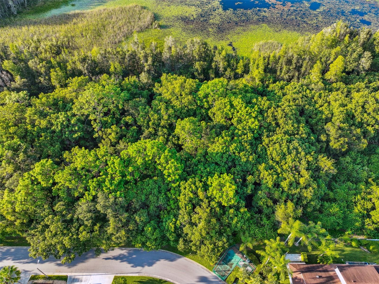 1758 Land O Lakes Blvd Property Photo 23