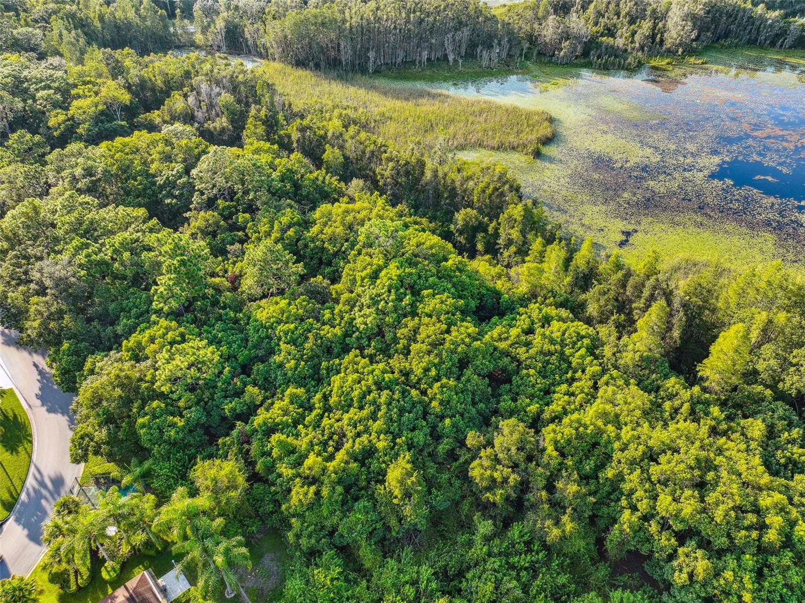 1758 Land O Lakes Blvd Property Photo 24