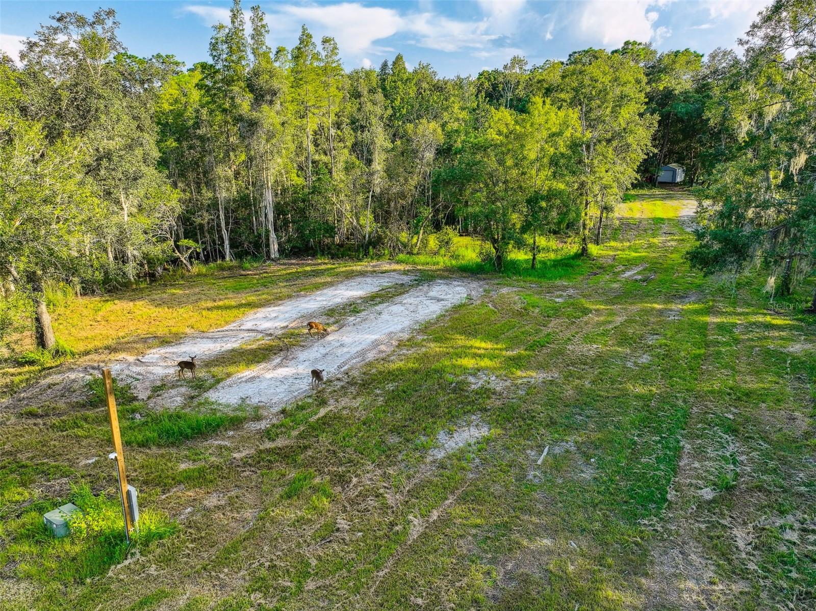 1758 Land O Lakes Blvd Property Photo 33