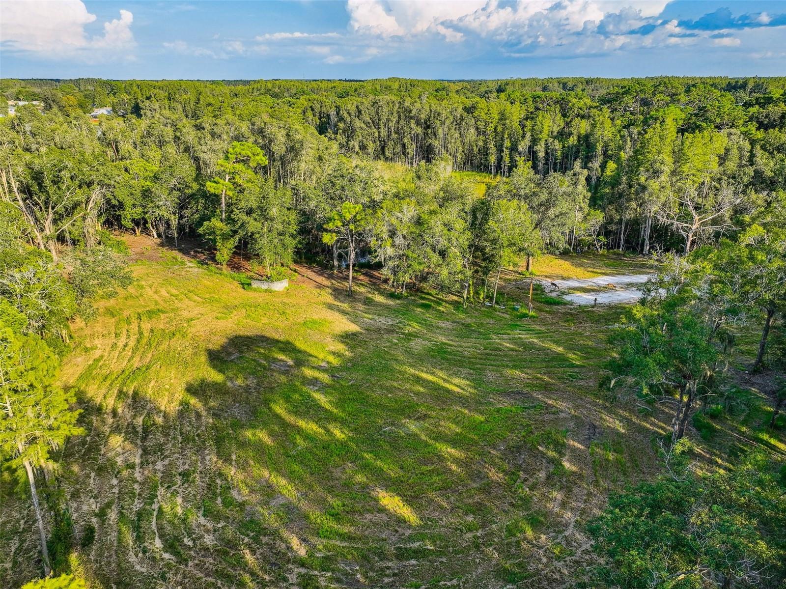 1758 Land O Lakes Blvd Property Photo 34