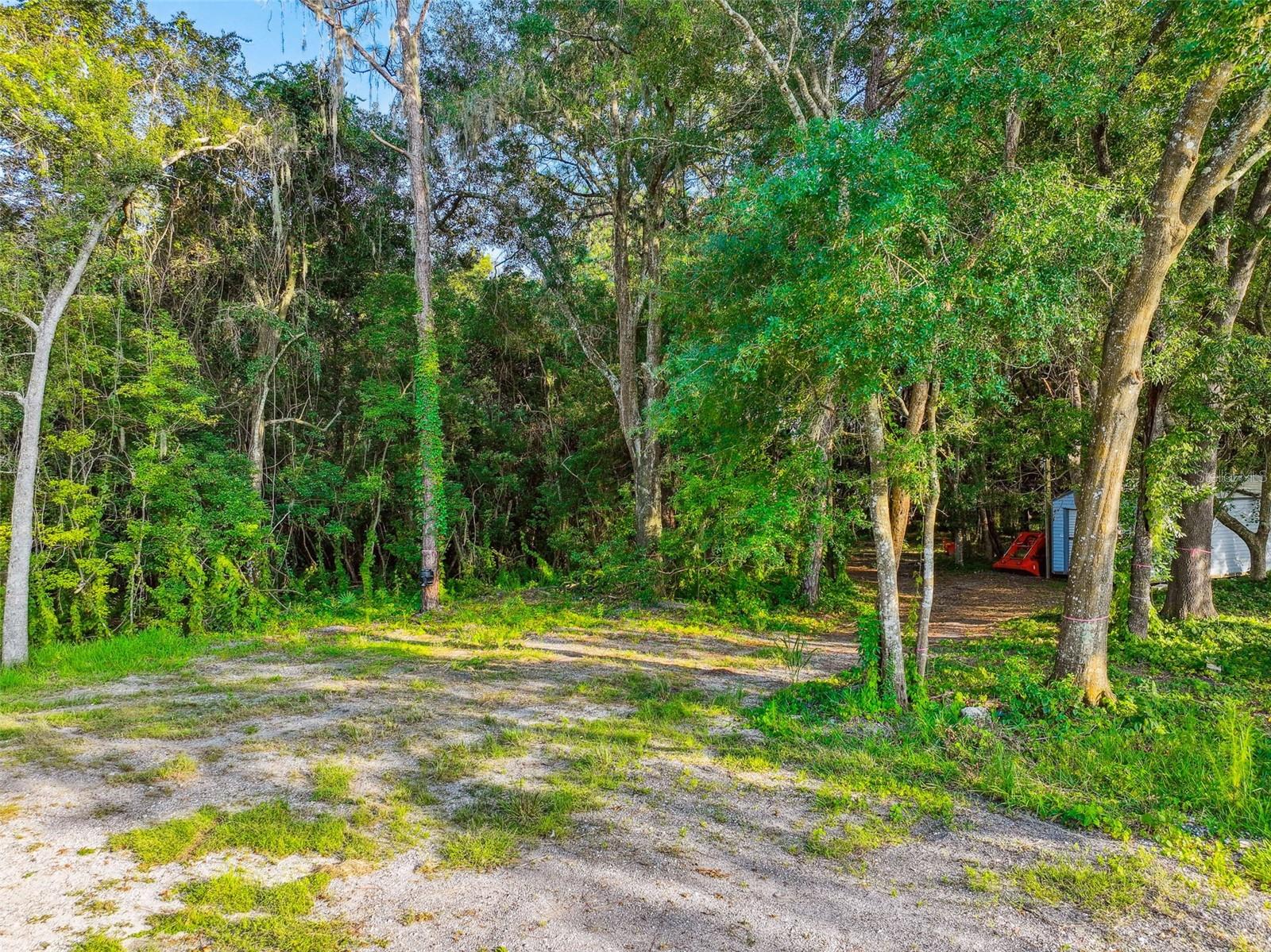 1758 Land O Lakes Blvd Property Photo 39