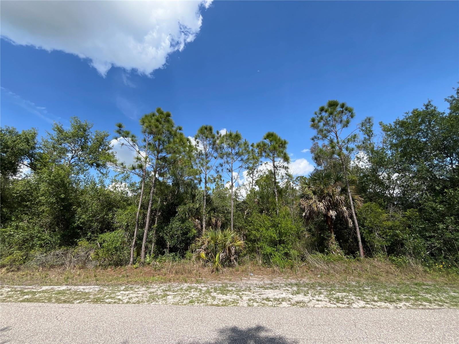 1174 SHETLAND ST Property Photo 1