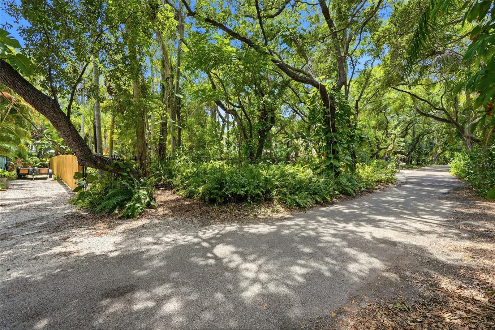 Lot 14 E Marshall St Property Photo 9