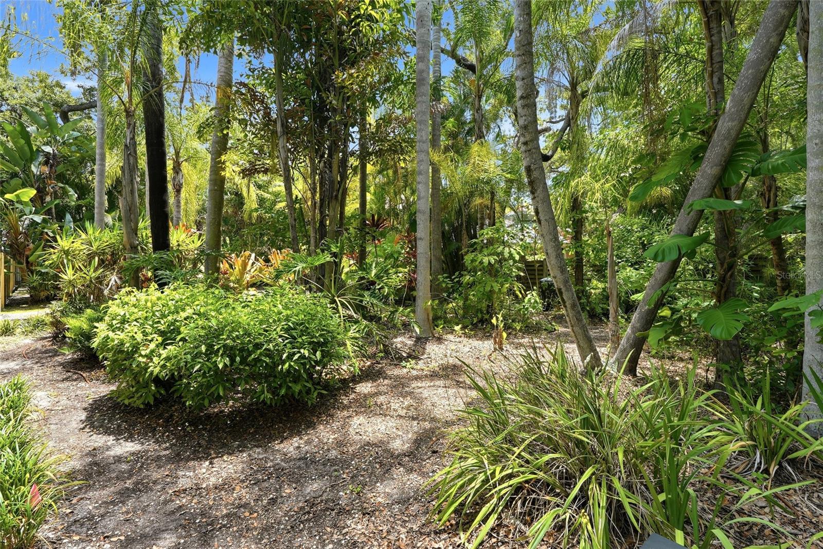 Lot 14 E Marshall St Property Photo 10