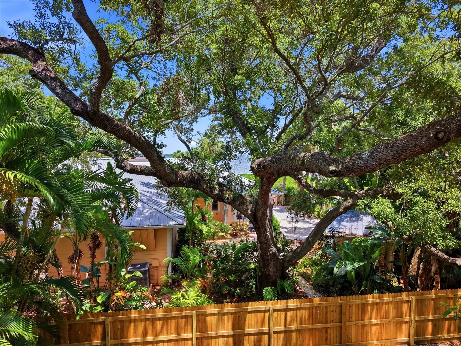 Lot 14 E Marshall St Property Photo 18