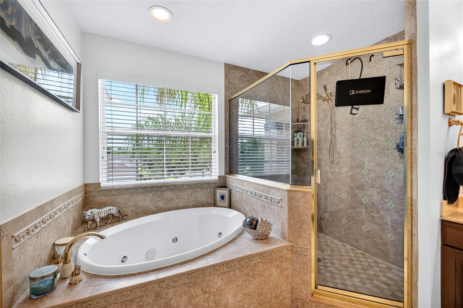 11384 Walden Loop Property Photo 28