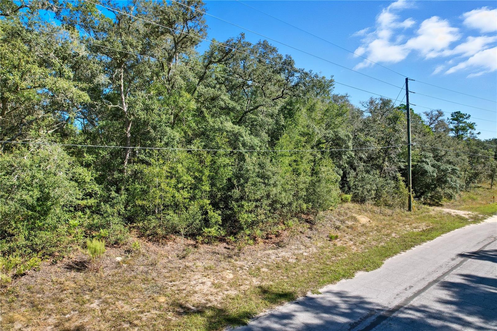10562 N Adler Dr Property Photo 4
