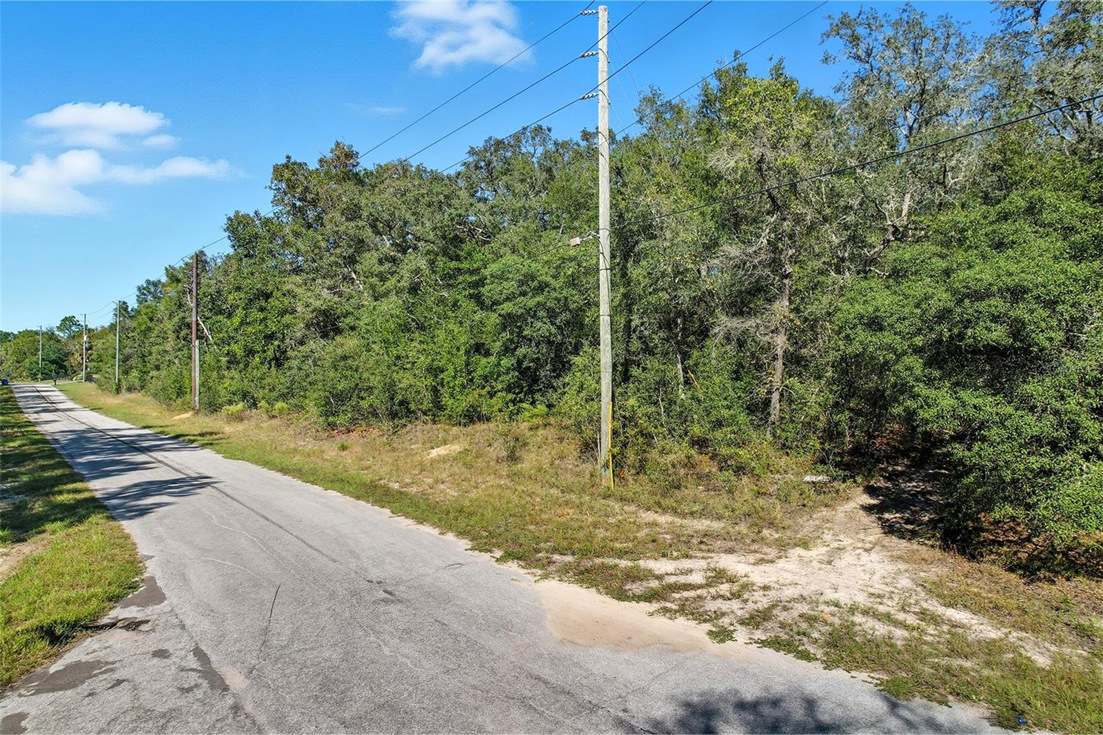 10562 N Adler Dr Property Photo 6