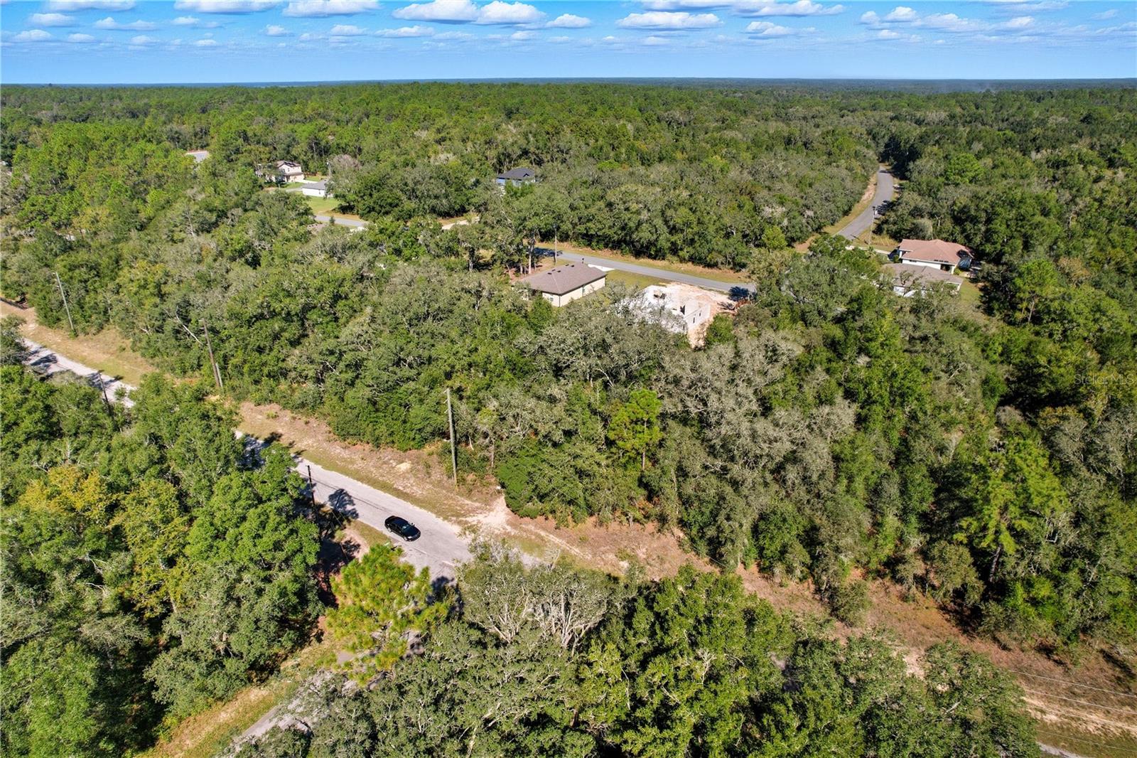 10562 N Adler Dr Property Photo 14