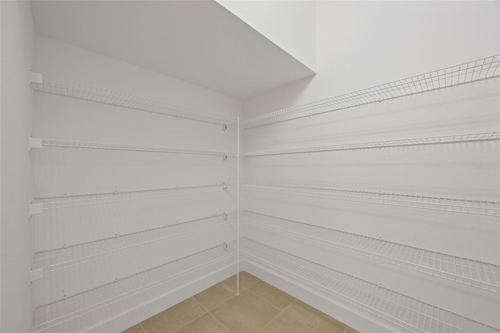 32684 Tamarind Grove Ln Property Photo 22