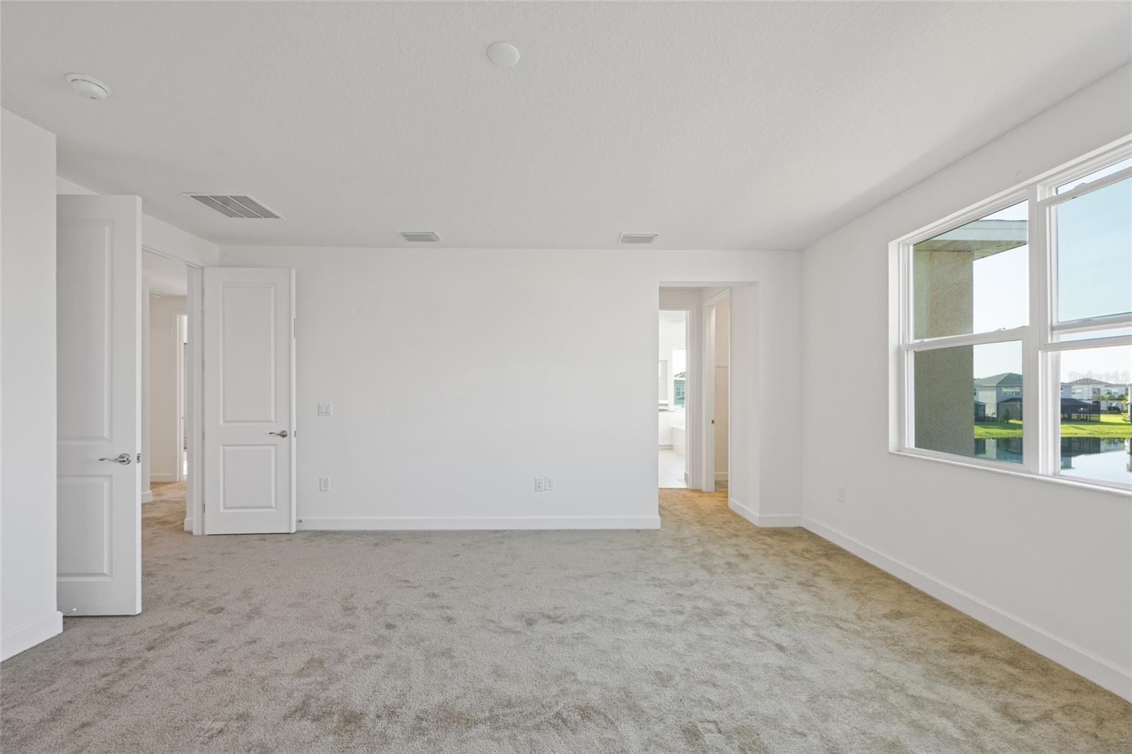32684 Tamarind Grove Ln Property Photo 30