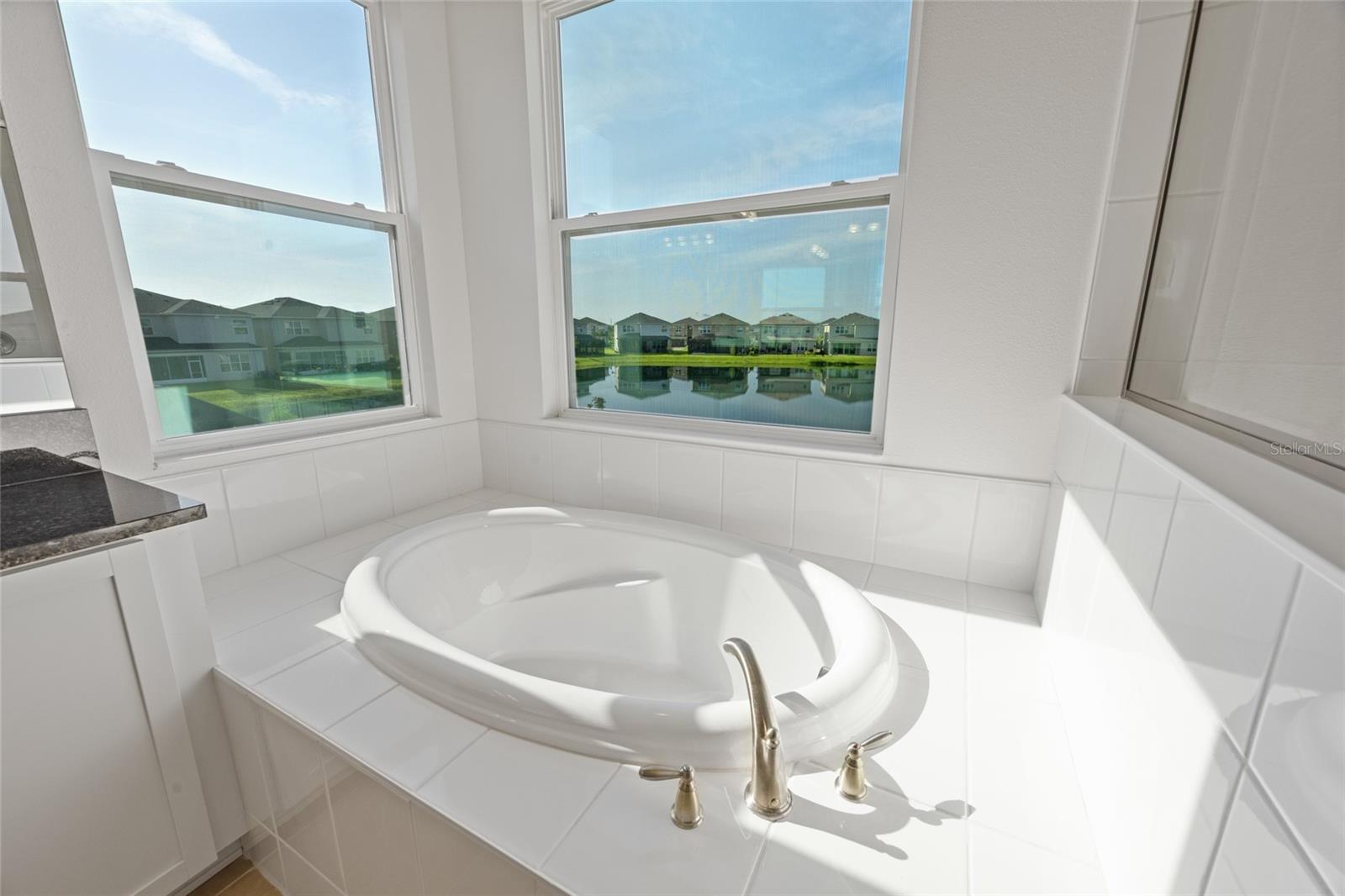 32684 Tamarind Grove Ln Property Photo 36