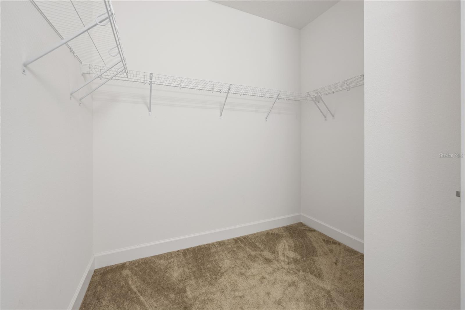 32684 Tamarind Grove Ln Property Photo 37