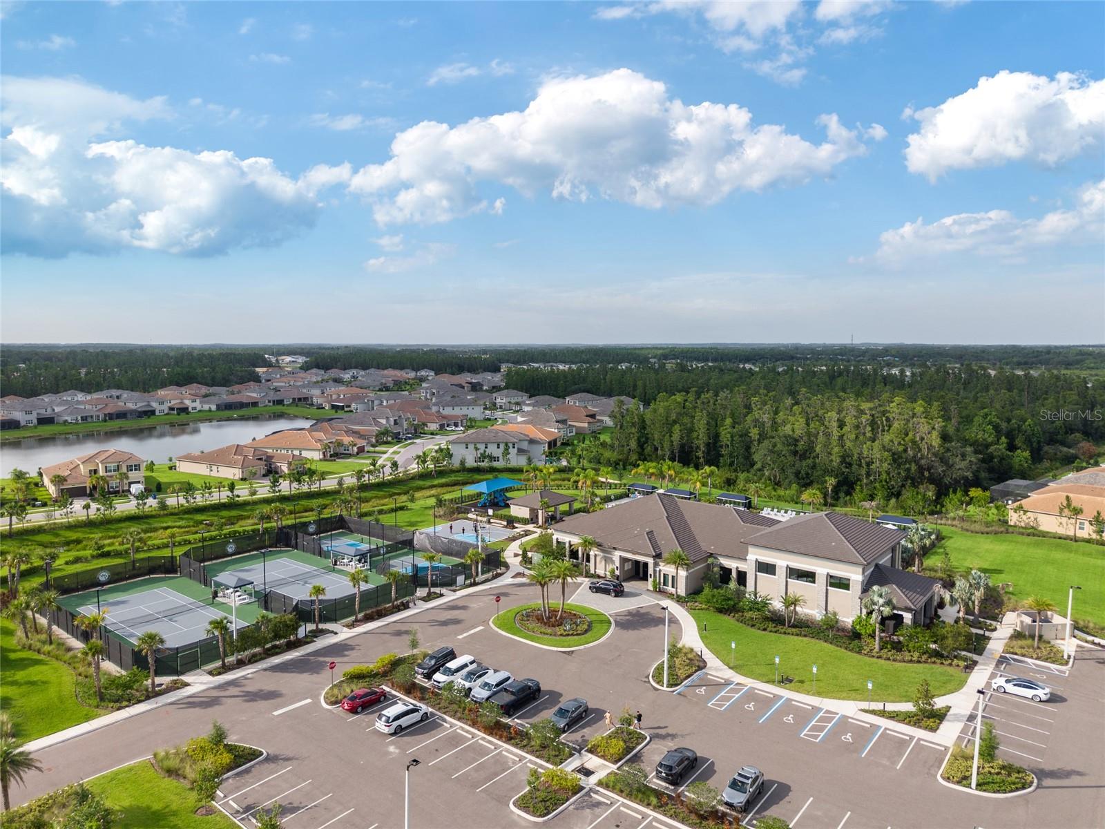 32684 Tamarind Grove Ln Property Photo 59