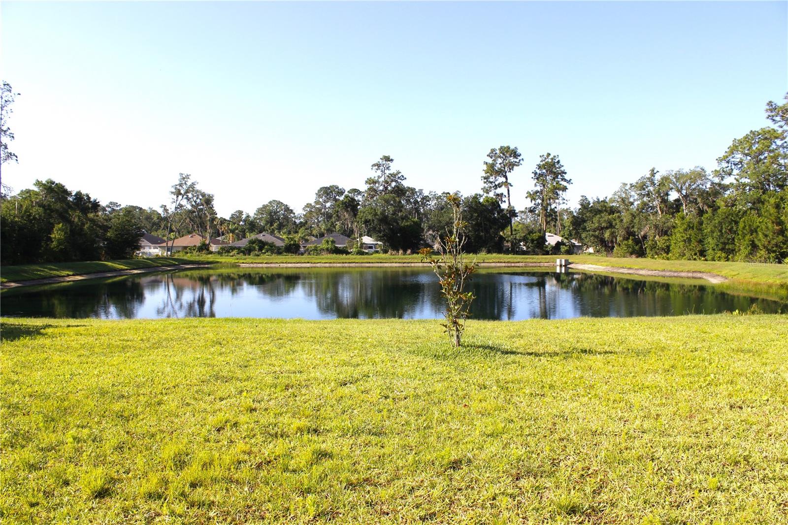 30600 Thunderbird Dr Property Photo 13