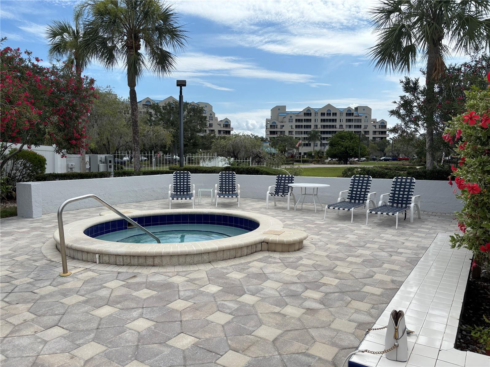 2333 Feather Sound Dr #c107 Property Photo 35