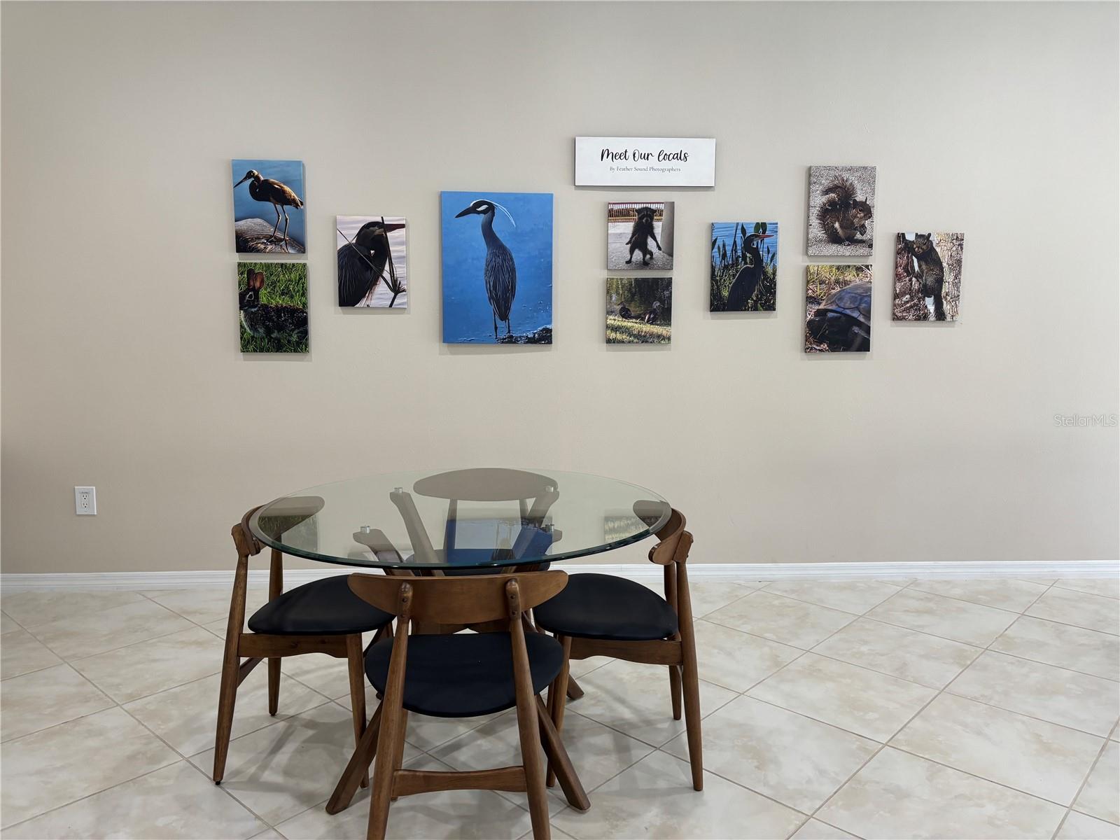 2333 Feather Sound Dr #c107 Property Photo 42