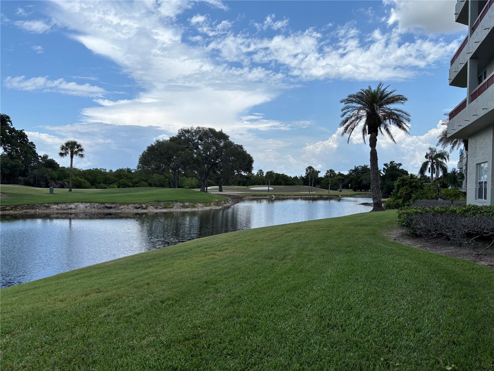 2333 Feather Sound Dr #c107 Property Photo 53