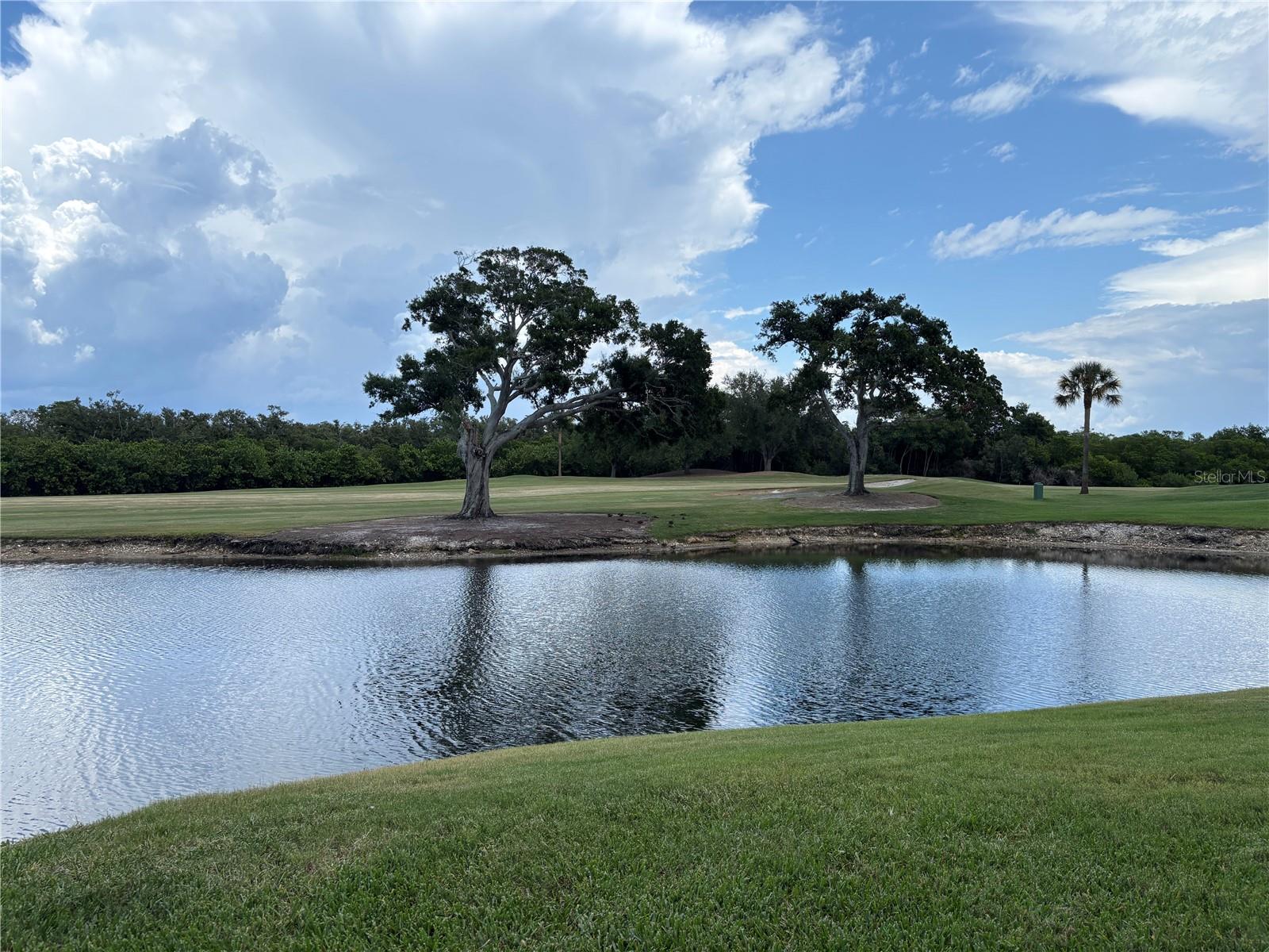 2333 Feather Sound Dr #c107 Property Photo 54