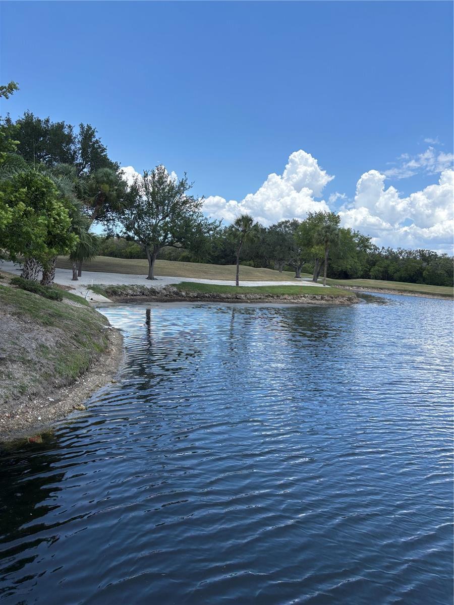 2333 Feather Sound Dr #c107 Property Photo 55