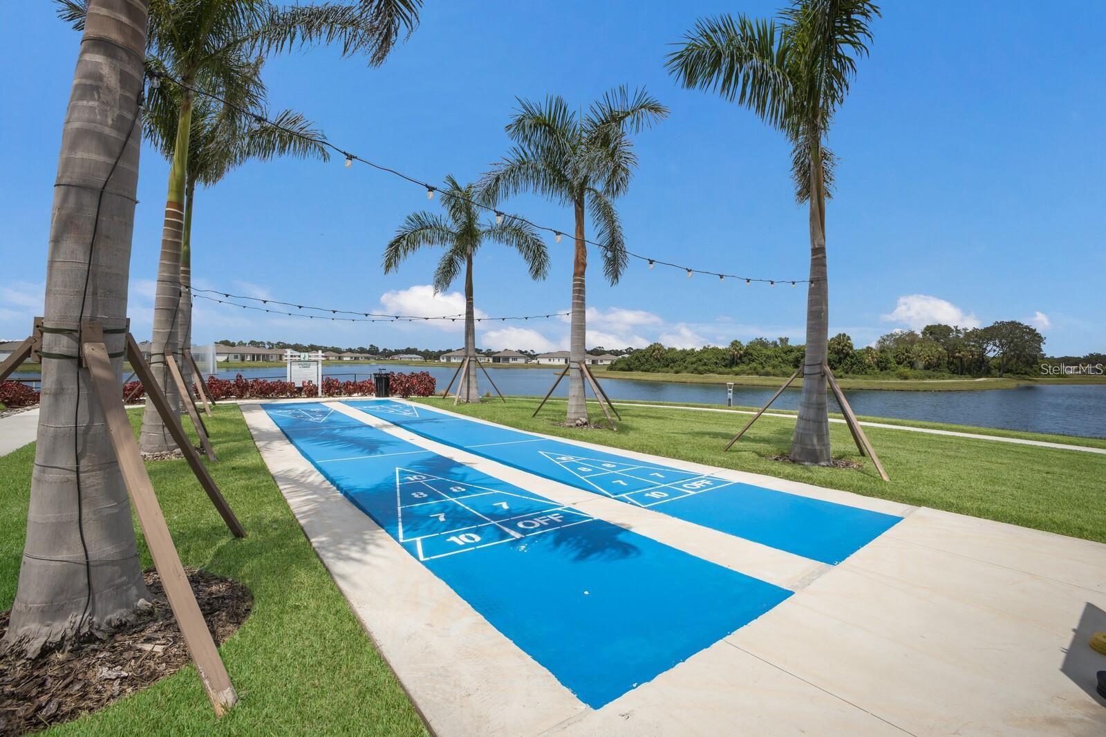 10462 Spring Tide Way Property Photo 31