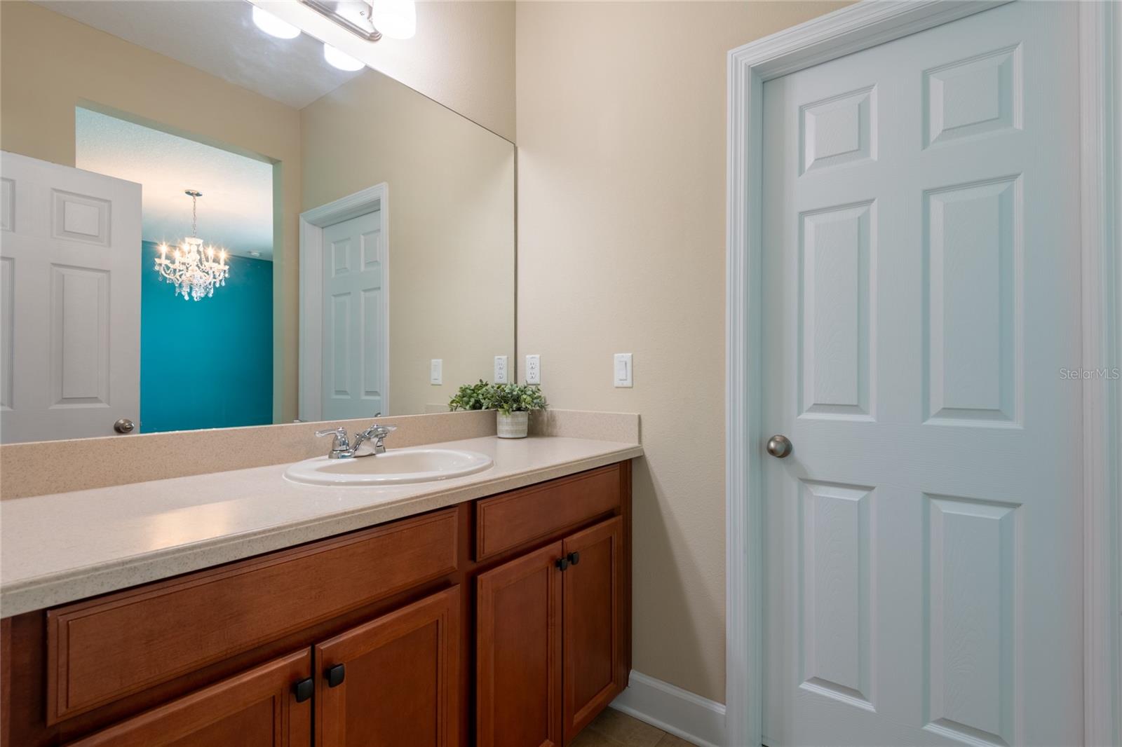11807 Cross Vine Dr Property Photo 46