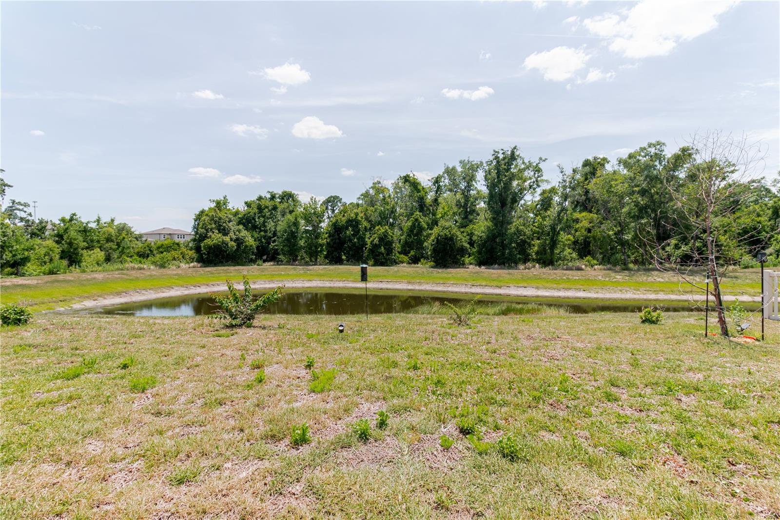 17871 Cortes Creek Blvd Property Photo 62