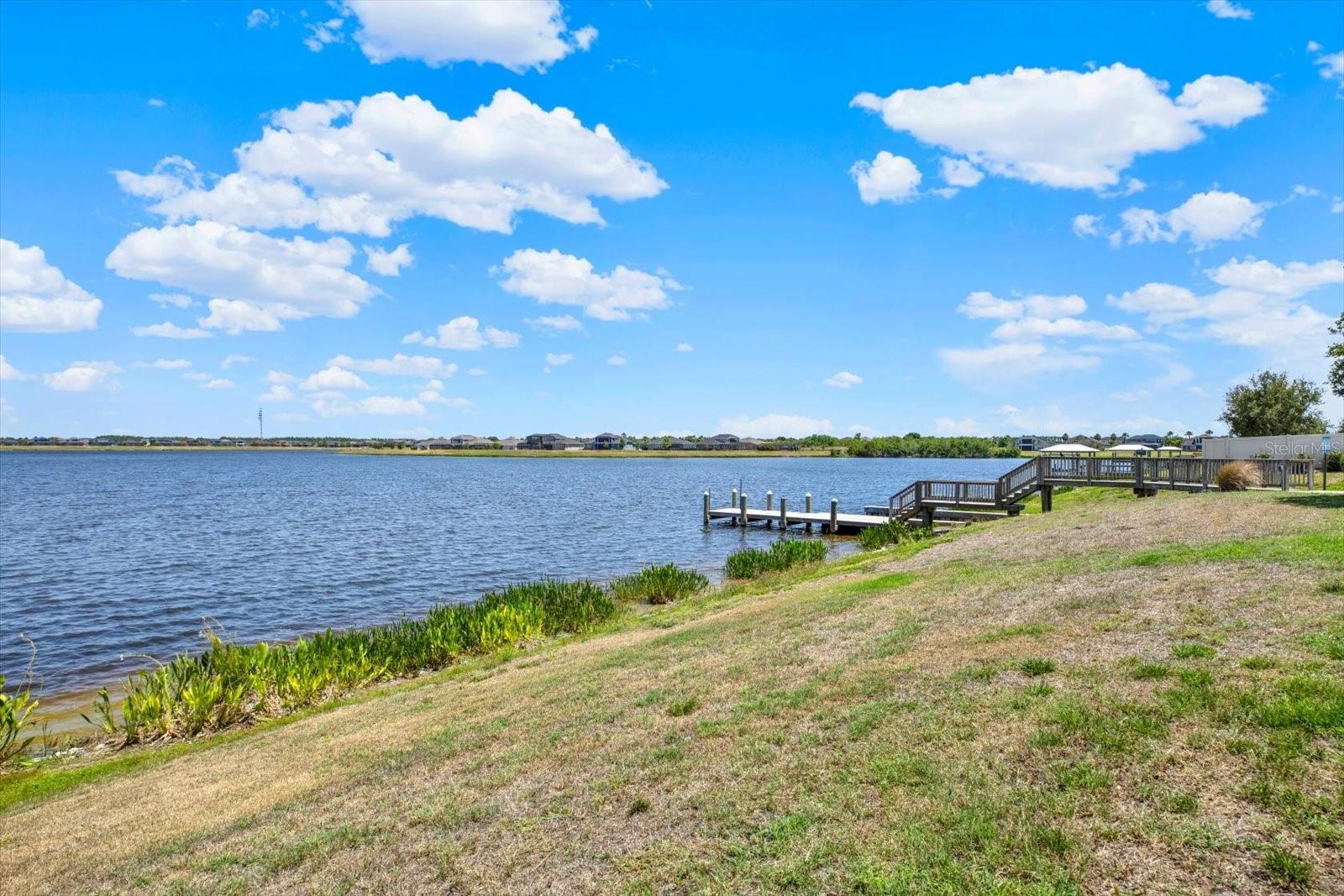 11702 Lake Lucaya Dr Property Photo 52