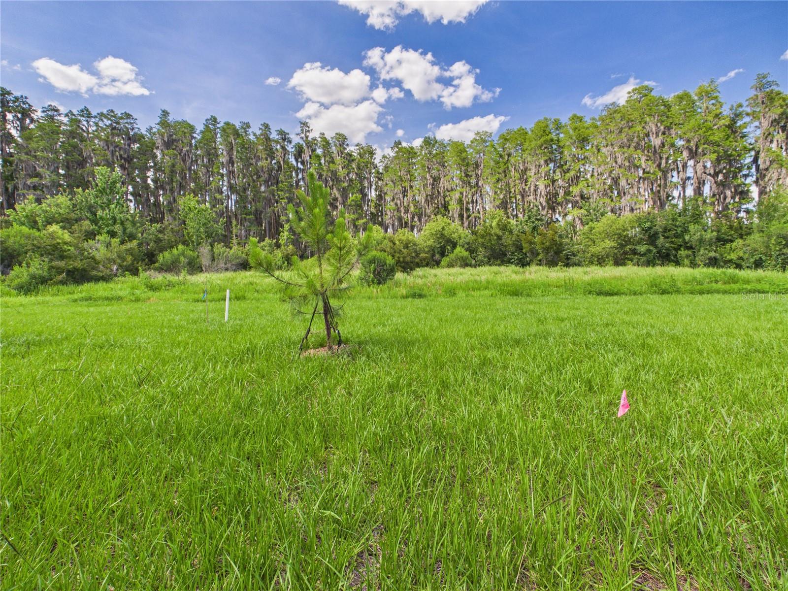 32519 Welling Blade Loop Property Photo 55