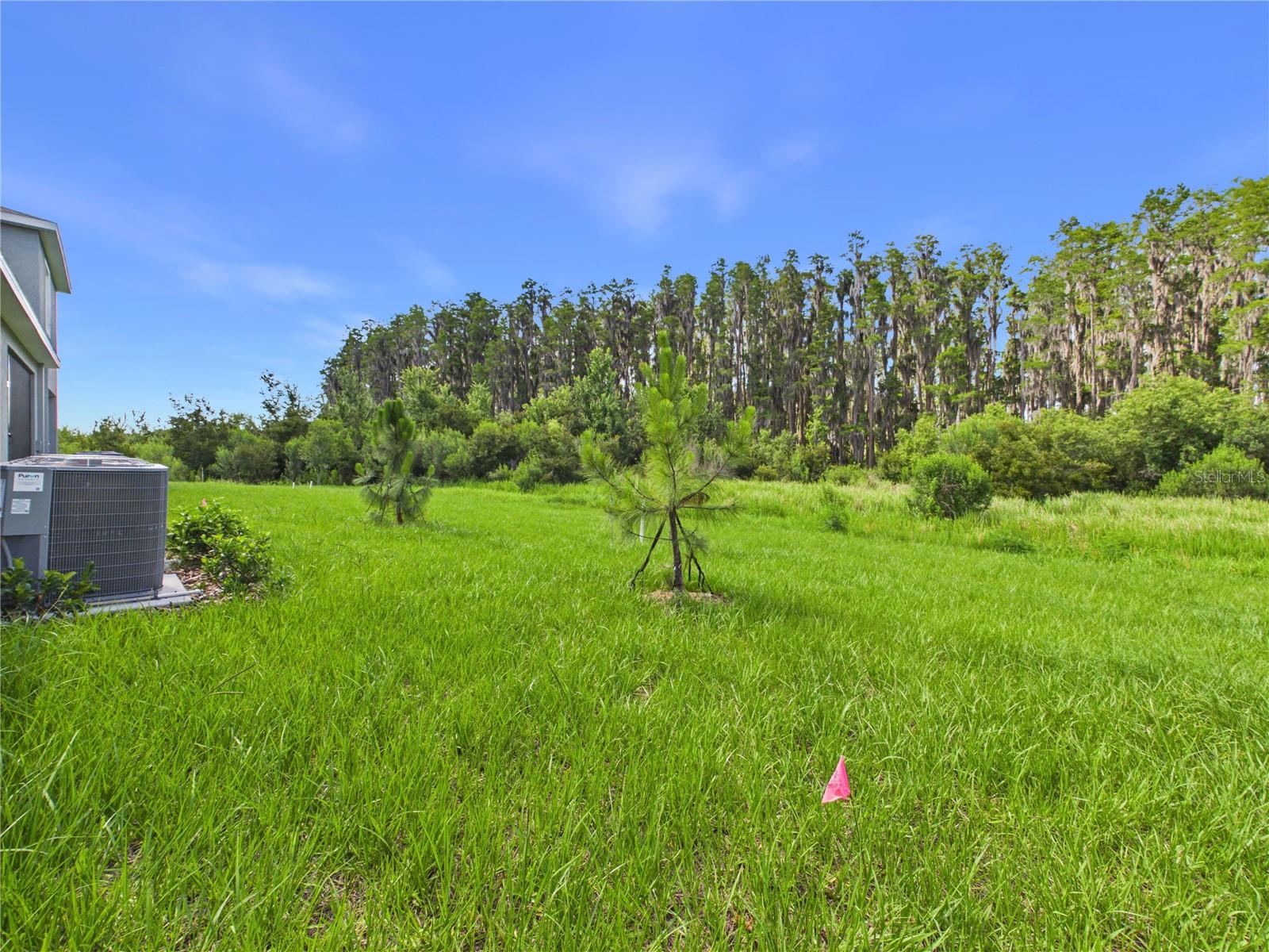 32519 Welling Blade Loop Property Photo 56