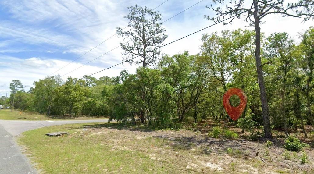 821 W Homeway Loop Property Photo 3