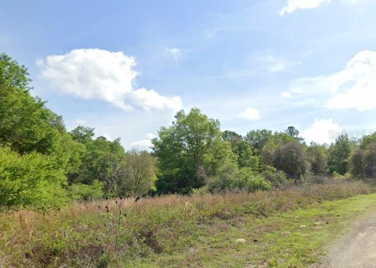 7995 N WALTON TER Property Photo 1
