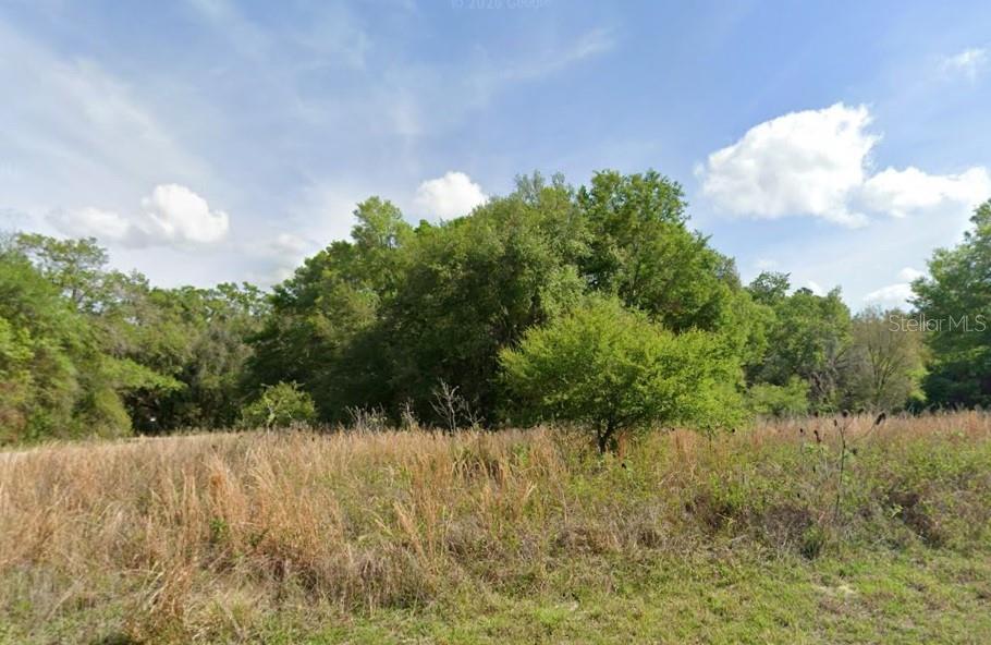 7995 N Walton Ter Property Photo 3