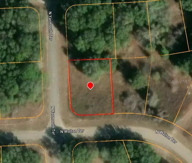 7995 N Walton Ter Property Photo 4