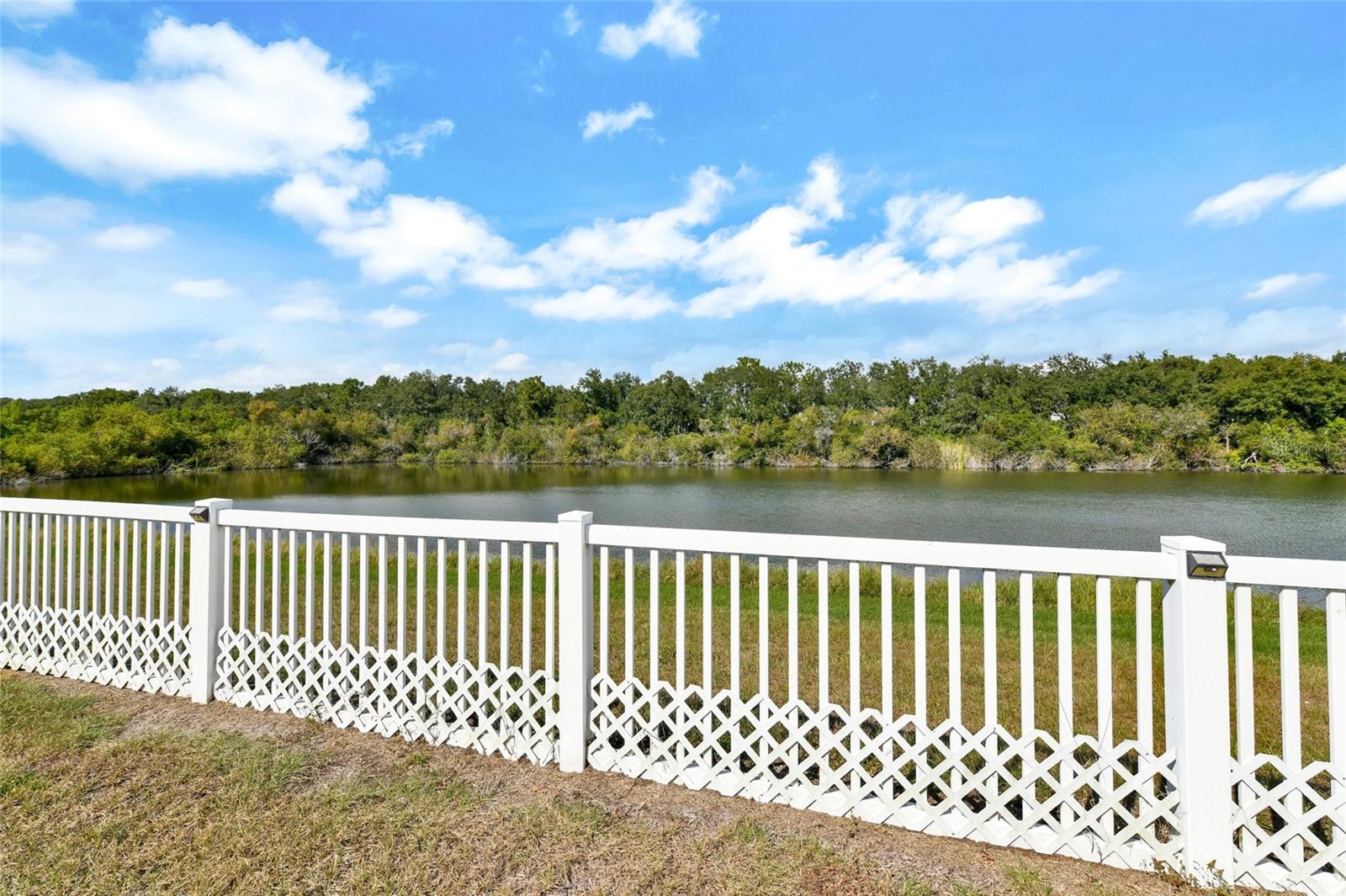 7514 Forest Mere Dr Property Photo 3