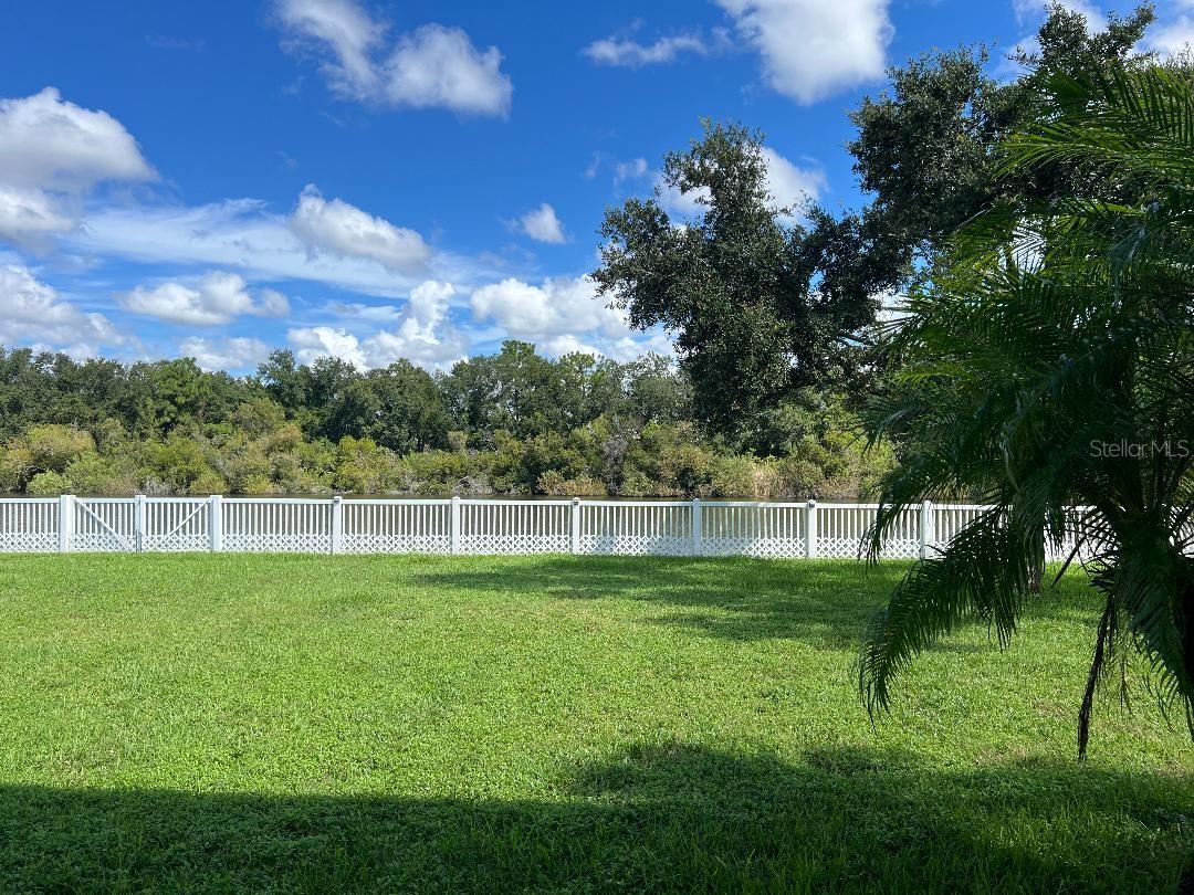7514 Forest Mere Dr Property Photo 40