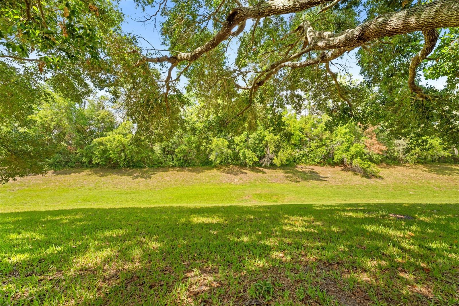 11132 Heathrow Ave Property Photo 9