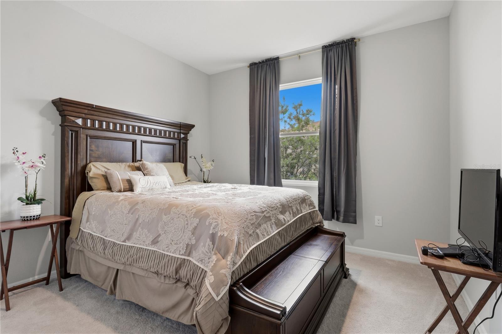 11316 Spoonbill Flock Way Property Photo 17