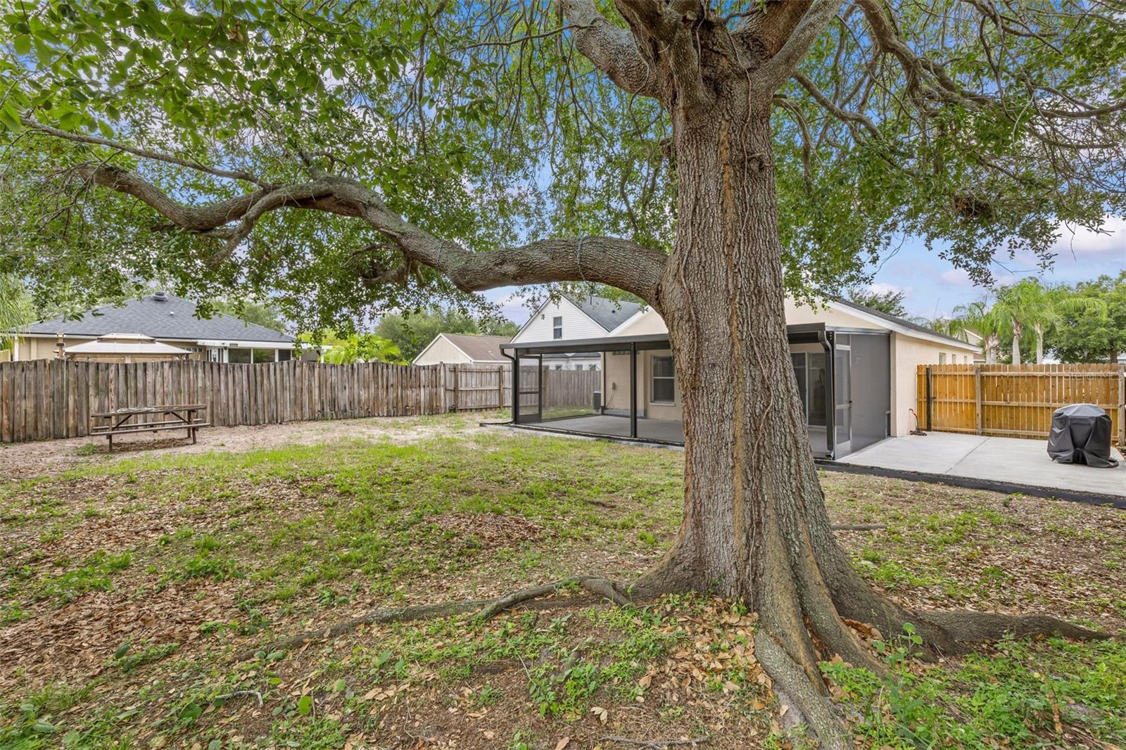 10611 Lakeside Vista Dr Property Photo 24