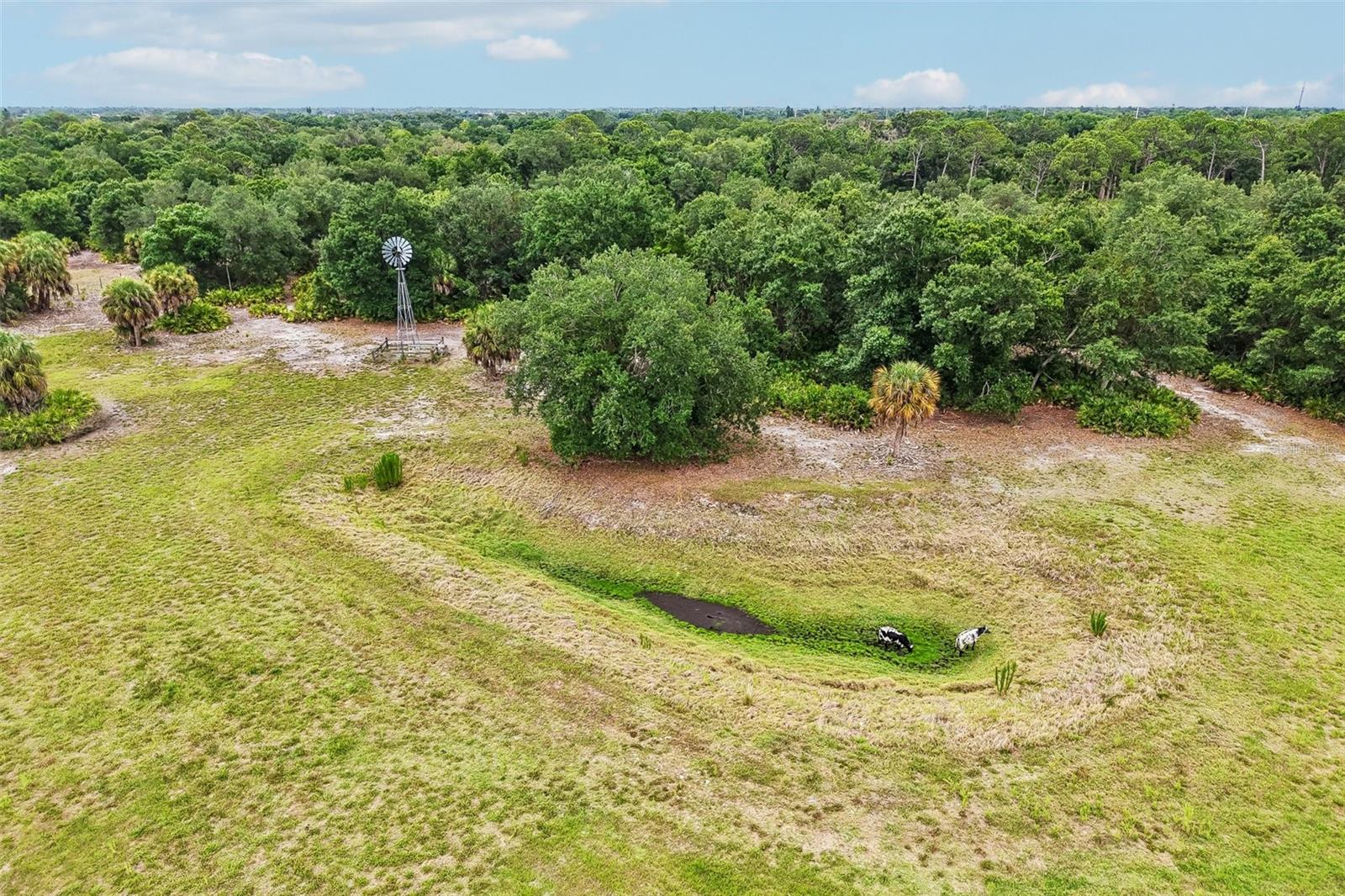 5005 Bee Ridge Rd Property Photo 29