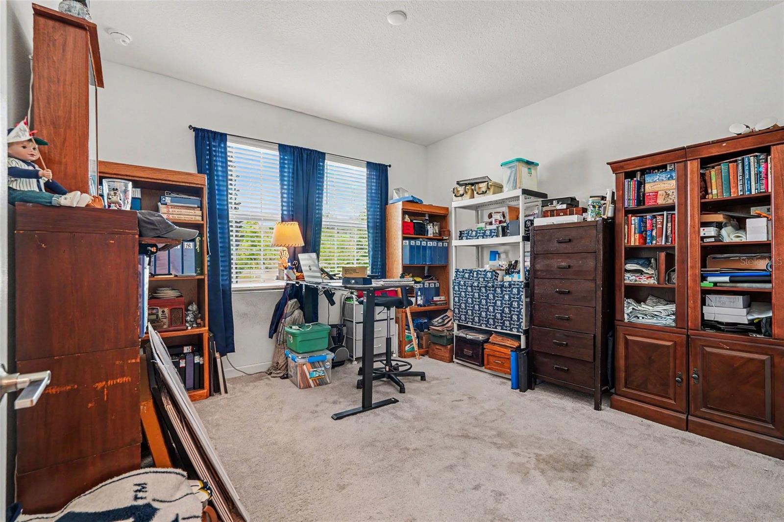 10892 Ibis Brook Ct Property Photo 9
