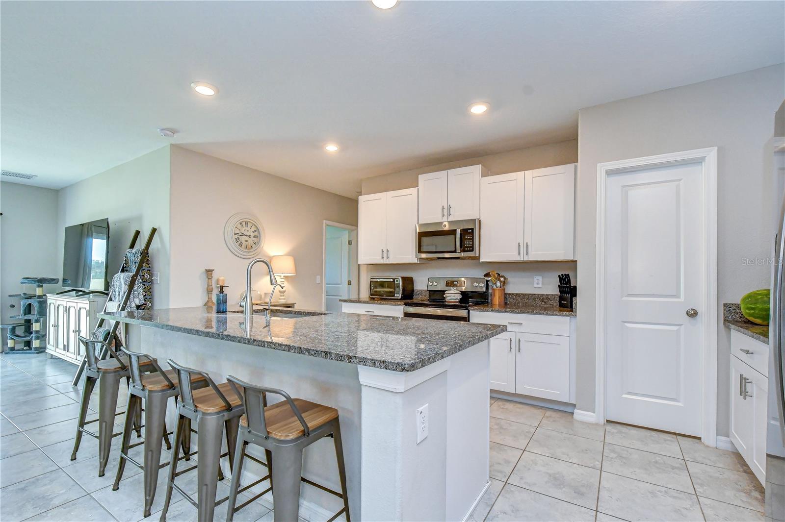 17917 Cloudless Bliss Dr Property Photo 4